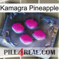 Kamagra Pineapple 02